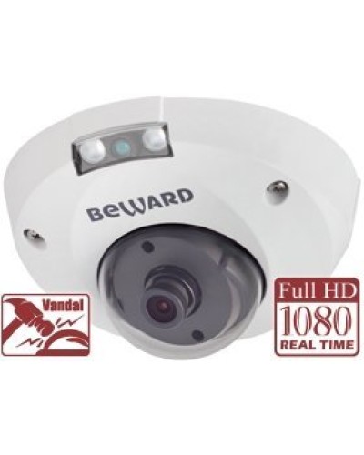 NK55630D8. IP-камера купольная. Beward в Хабаровске