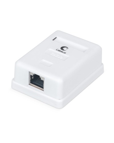 WS-8P8C-Cat.5e-SH-1 (7485c): Розетка RJ-45 в Хабаровске