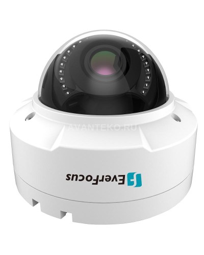 EHN-1250. Видеокамера IP купольная. EverFocus в Хабаровске