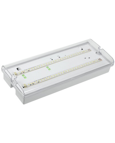 Светильник аварийный ДПА 5042-1 1ч IP65 LIGHTING (LDPA0-5042-1-65-K01). Светильник аварийный универсальный. IEK в Хабаровске