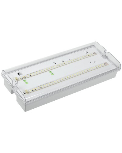 Светильник аварийный ДПА 5042-3 3ч IP65 LIGHTING (LDPA0-5042-3-65-K01). Светильник аварийный универсальный. IEK в Хабаровске