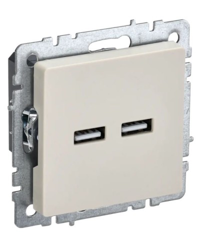 Розетка USB A+A 3,1А РЮ10-1-БрКр бежевый BRITE (BR-U21-D31-K10). Розетка USB. IEK в Хабаровске