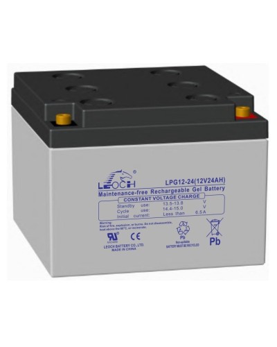 LEOCH LPG 12-24. Аккумулятор герметичный свинцово-кислотный. LEOCH в Хабаровске