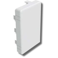 Заглушка 120х40 LAN (00876): Заглушка для короба