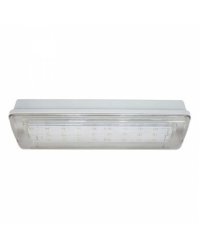 SL-213-30LED1.8 исп. 1 IP65. Светильник аварийного освещения. ИП Раченков А.В. в Хабаровске
