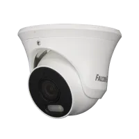 FE-IPC-D2-30p. Видеокамера IP купольная. Falcon EYE