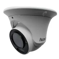 FE-IPC-DV2-40pa. Видеокамера IP купольная. Falcon EYE