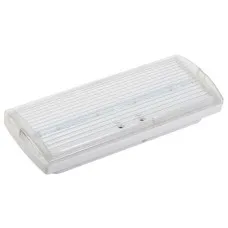 Светильник аварийный ДПА 5032-3 10-24/220В 3ч IP20 LIGHTING (LDPA1-5030-3-20-K01). Светильник аварийный постоянного действия. IEK
