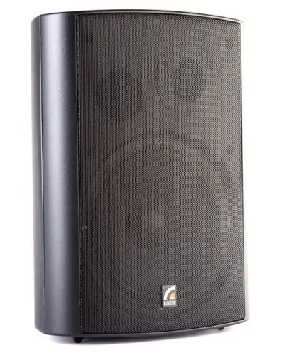 MS-20TB (ROXTON). Звуковая настенная колонка. ROXTON в Хабаровске
