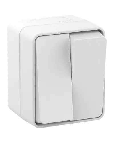 AtlasDesign PROFI54 выключатель 2-клавишный, открытой установки, белый (ATN540151). Выключатель. Systeme Electric в Хабаровске